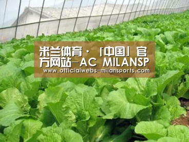 种植基地一