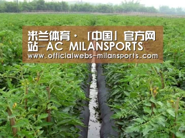 种植基地三
